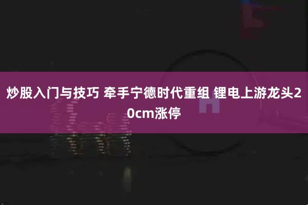 炒股入门与技巧 牵手宁德时代重组 锂电上游龙头20cm涨停
