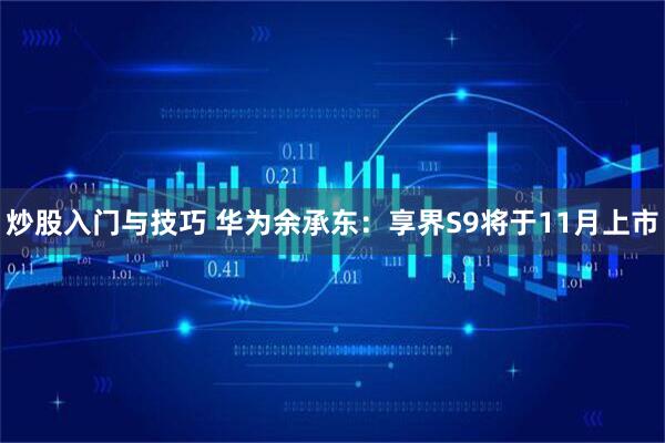炒股入门与技巧 华为余承东：享界S9将于11月上市