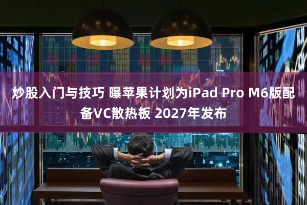 炒股入门与技巧 曝苹果计划为iPad Pro M6版配备VC散热板 2027年发布