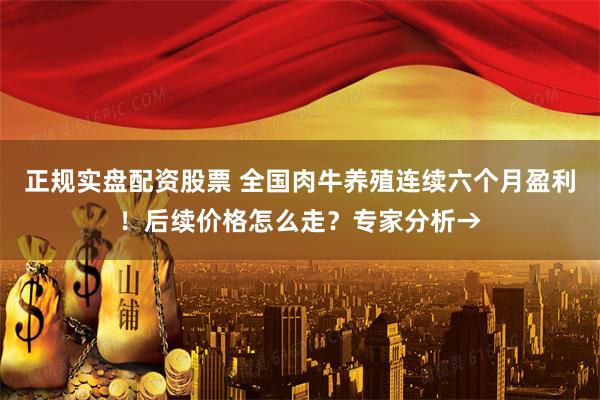 正规实盘配资股票 全国肉牛养殖连续六个月盈利！后续价格怎么走？专家分析→