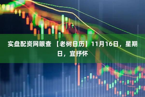 实盘配资网眼查 【老树日历】11月16日，星期日，宜抒怀